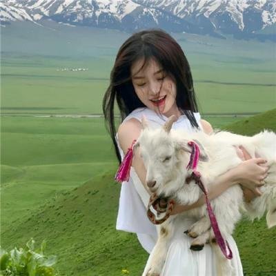 珍妮热线