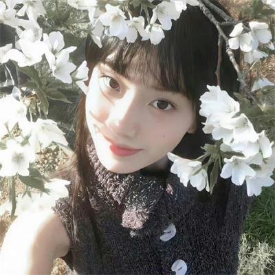 极主夫道 电影版